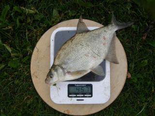 Lahna 457 g
