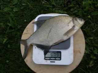 Lahna 579 g