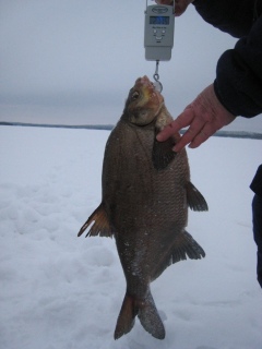 Lahna 2,65 kg