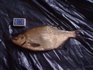 Lahna 520 g