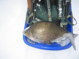 Lahna 2,00 kg