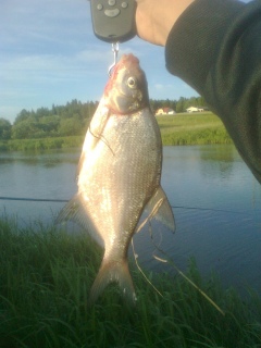 Lahna 250 g