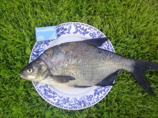 Lahna 600 g
