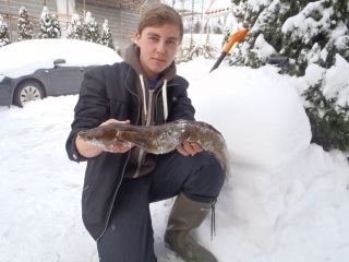 Made 1,20 kg