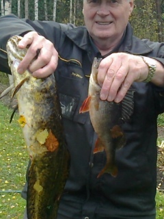 Made 2,68 kg