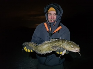 Made 2,36 kg