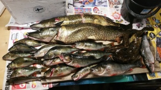 Made 1,10 kg