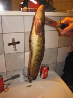 Made 500 g