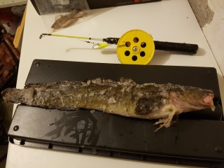Made 950 g