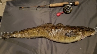 Made 2,08 kg