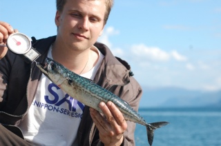 Makrilli 690 g