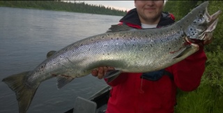 Merilohi 6,50 kg