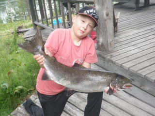 Merilohi 6,20 kg