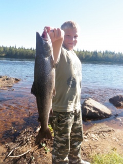 Merilohi 1,40 kg