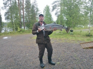 Merilohi 23,00 kg