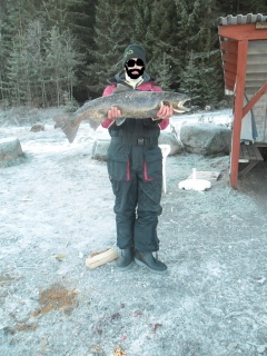 Merilohi 6,60 kg