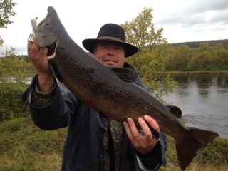Meritaimen 5,35 kg