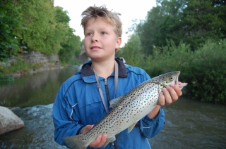 Meritaimen 1,28 kg