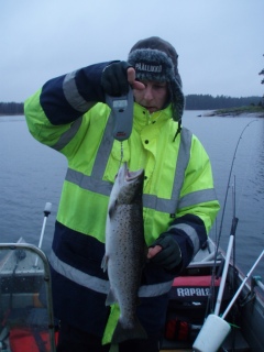 Meritaimen 2,16 kg
