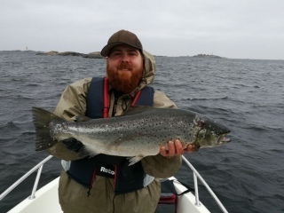Meritaimen 3,50 kg