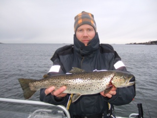 Meritaimen 1,33 kg