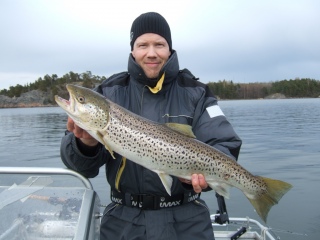 Meritaimen 2,60 kg