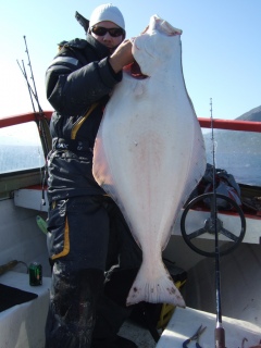 Ruijan pallas 20,00 kg