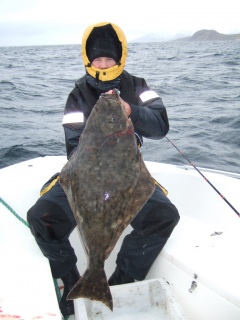 Ruijan pallas 12,80 kg