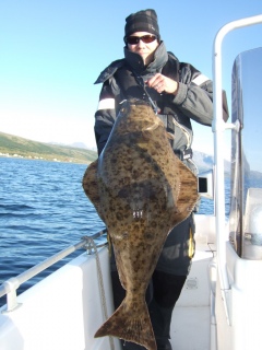 Ruijan pallas 12,60 kg