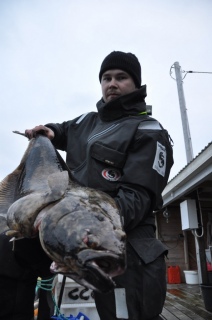 Ruijan pallas 12,50 kg