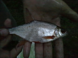 Pasuri 100 g