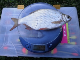 Pasuri 183 g