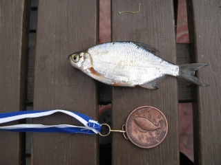 Pasuri 35 g