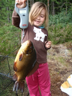 Ruutana 1,55 kg