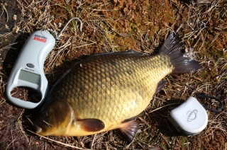 Ruutana 1,50 kg