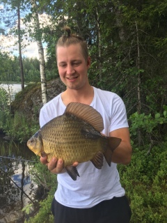 Ruutana 1,56 kg