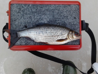 S�rki 250 g