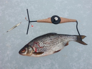 S�rki 470 g