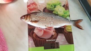 S�rki 107 g