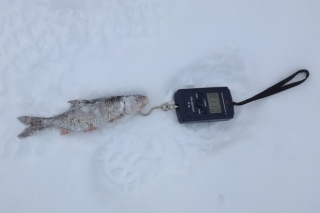 S�rki 110 g