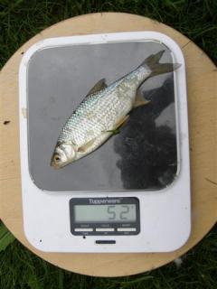 S�rki 52 g