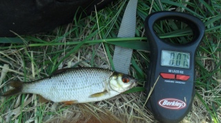 S�rki 70 g