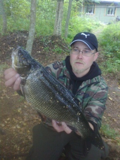 S�yne 1,66 kg