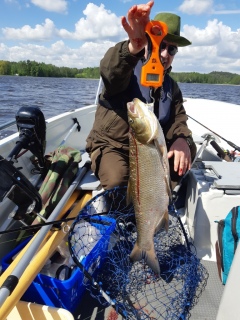 S�yne 3,50 kg