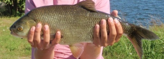 S�yne 2,15 kg