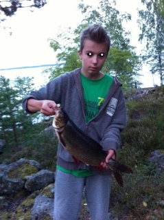 Säyne 1,75 kg