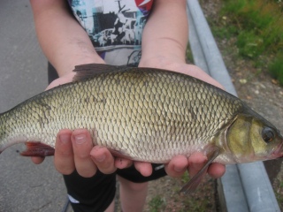 S�yne 520 g