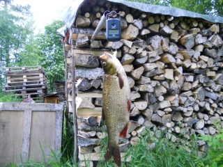 S�yne 1,06 kg