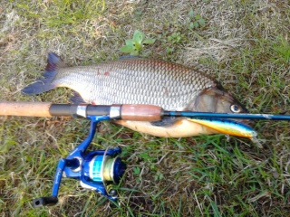 S�yne 1,50 kg