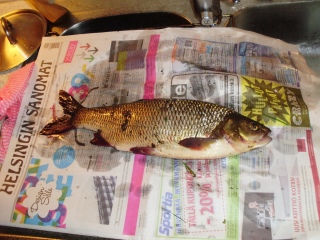 S�yne 1,10 kg